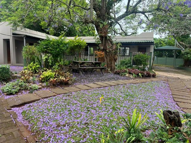 South Coast Recovery Centre is the perfect rehab for addiction treatment