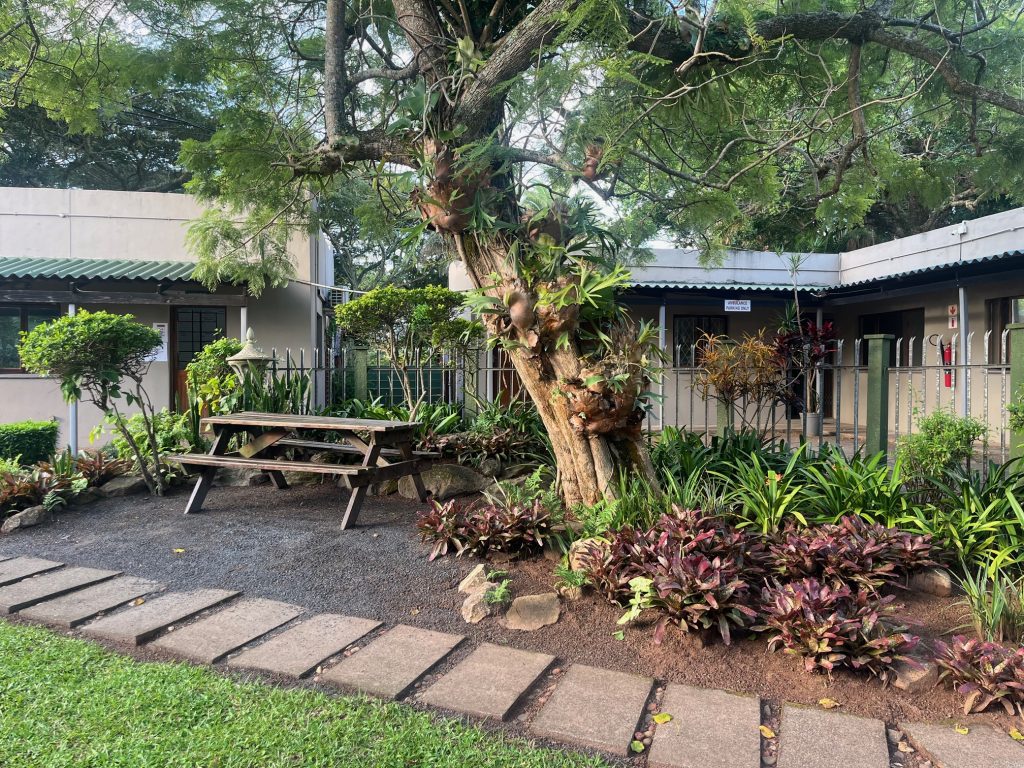 South Africa rehab for Zimbabwe