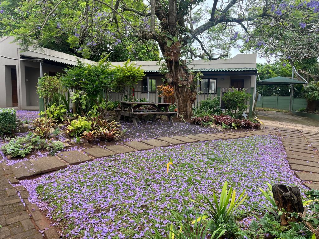 Rehabilitation Centres in South Africa