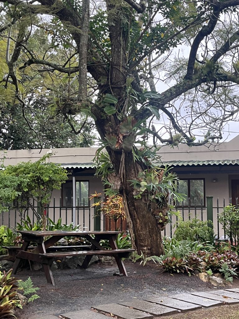 Gardens at South Coast recovery Centre