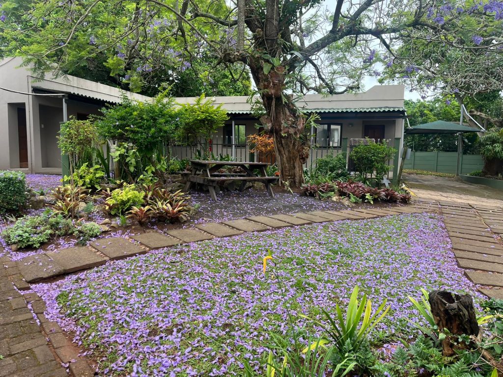 South Coast Recovery Centre gardens